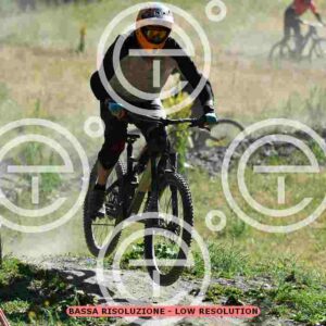 NIC_0484_tn