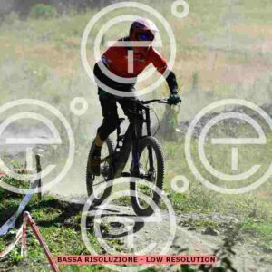NIC_0492_tn
