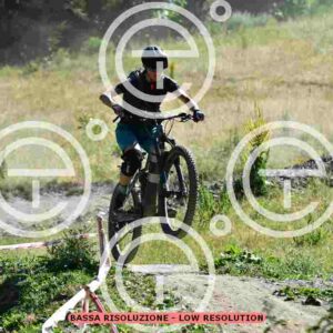NIC_0520_tn
