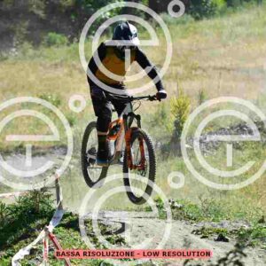 NIC_0574_tn