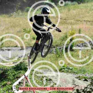 NIC_0578_tn