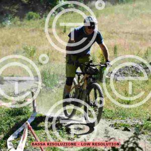 NIC_0610_tn