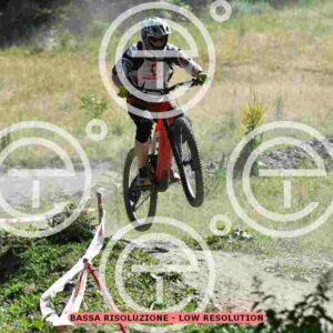 NIC_0643_tn