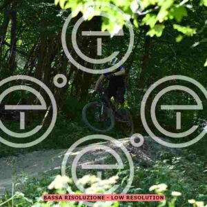 NIC_0690_tn