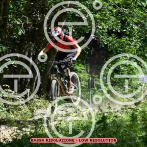 NIC_0745_tn