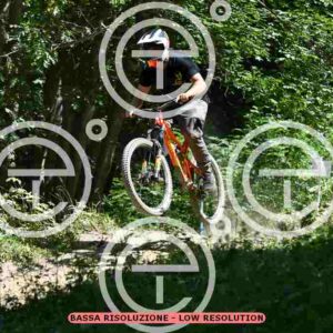 NIC_0832_tn
