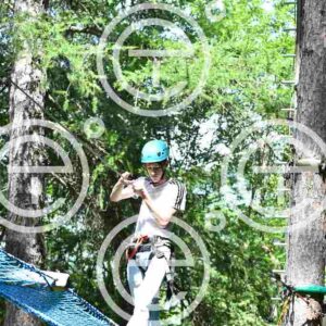 NIC_0967_tn