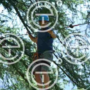 NIC_1007_tn