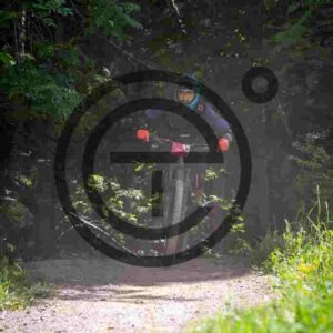 NIC_7140_tn