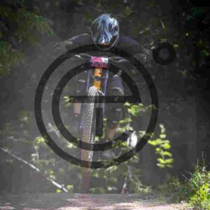 NIC_7274_tn