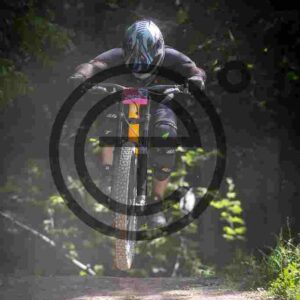 NIC_7275_tn