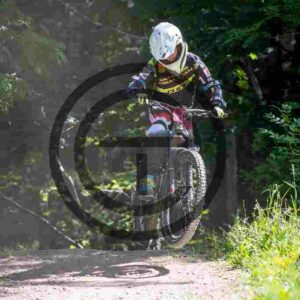 NIC_7290_tn