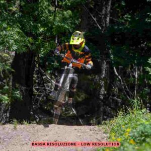 NIC_7645_tn