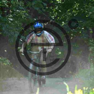 NIC_8773_tn