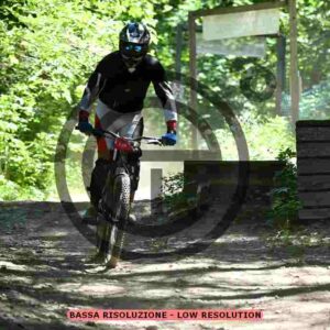 NIC_8973_tn