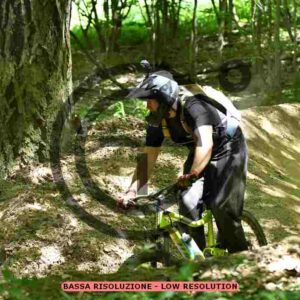 NIC_9021_tn