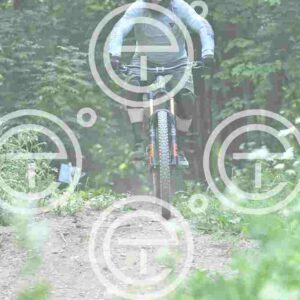NIC_9141_tn