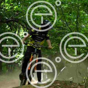 NIC_9162_tn