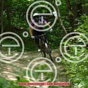 NIC_9245_tn