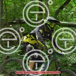 NIC_9331_tn