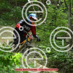 NIC_9476_tn