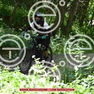 NIC_9557_tn