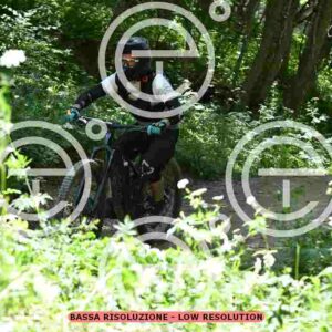 NIC_9558_tn
