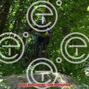 NIC_9578_tn