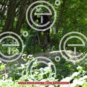 NIC_9622_tn