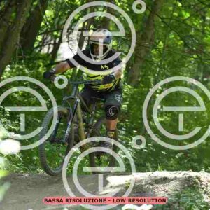 NIC_9656_tn