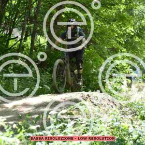 NIC_9723_tn