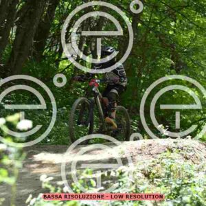 NIC_9756_tn