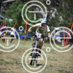 _D3S0294_tn
