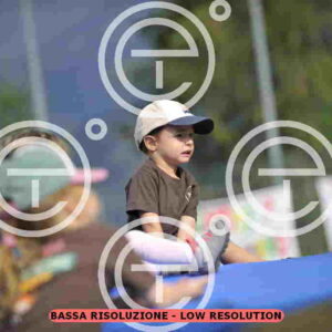 _D3S0651_tn