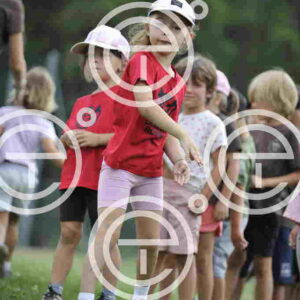_D3S0946_tn
