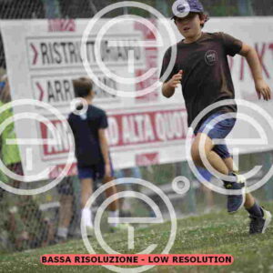 _D3S1033_tn