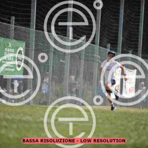 _D3S1081_tn