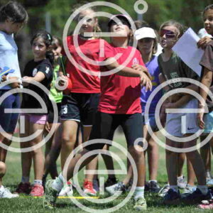 _D3S1867_tn