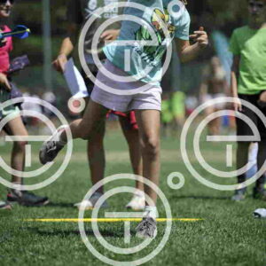 _D3S2016_tn