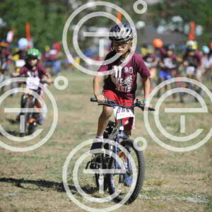 _D3S9720_tn