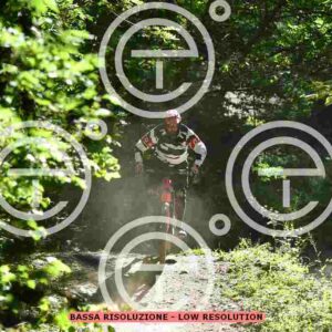 NIC_1963_tn