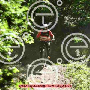 NIC_1972_tn