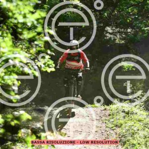 NIC_1973_tn
