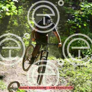 NIC_2057_tn