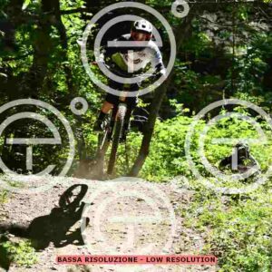 NIC_2084_tn