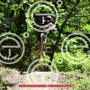 NIC_2106_tn