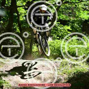 NIC_2132_tn
