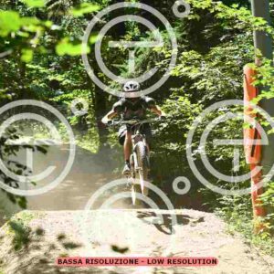 NIC_2265_tn
