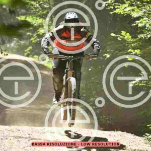 NIC_2305_tn