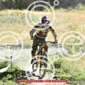 NIC_2342_tn